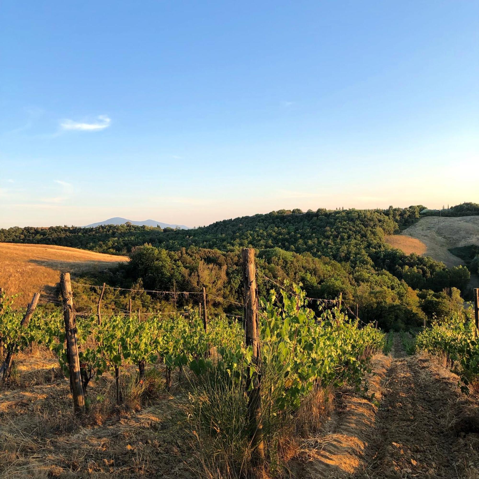 Podere Sole Трекуанда Экстерьер фото
